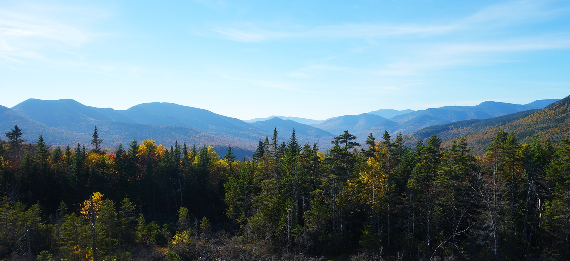 White Mountains in distance, evergreens in foreground from Bear Notch NH