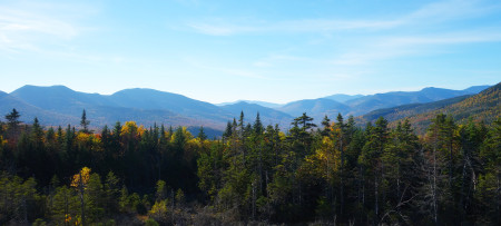 White Mountains in distance, evergreens in foreground from Bear Notch NH