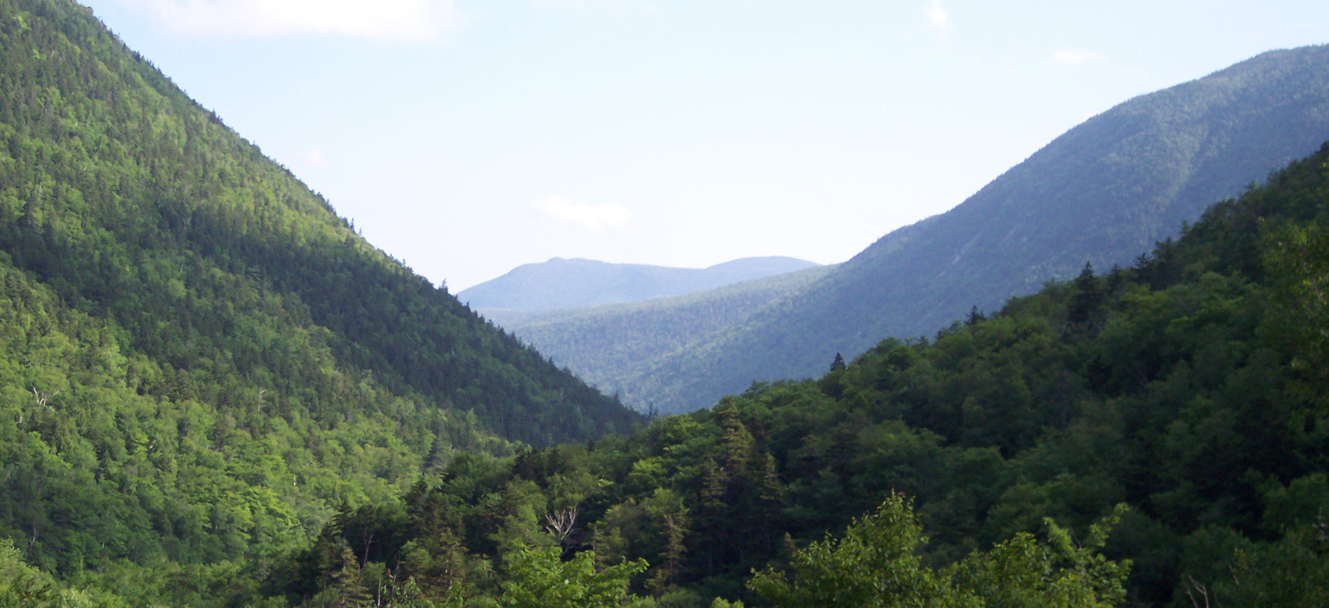 View east from Crawford Notch