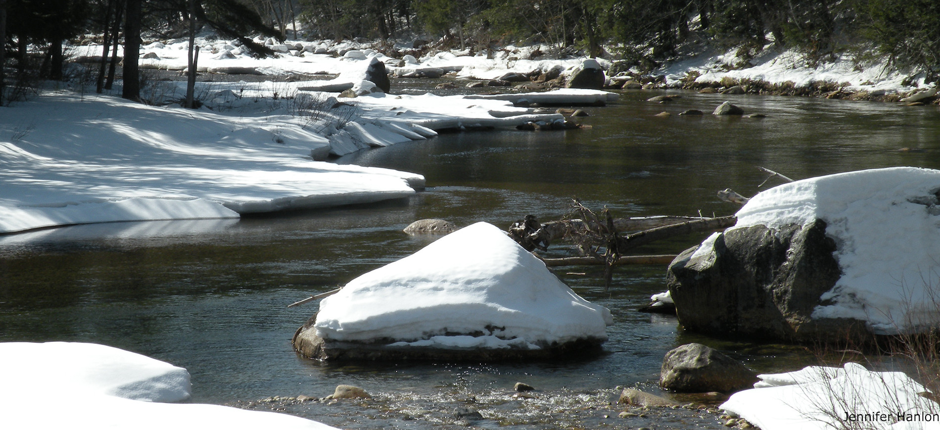 snow covered rocks in Ellis River with trees in background