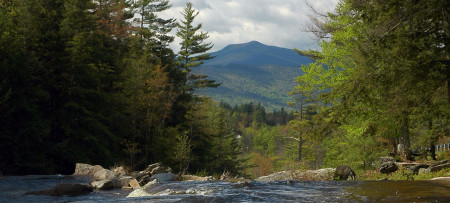 Top of Jackson Falls