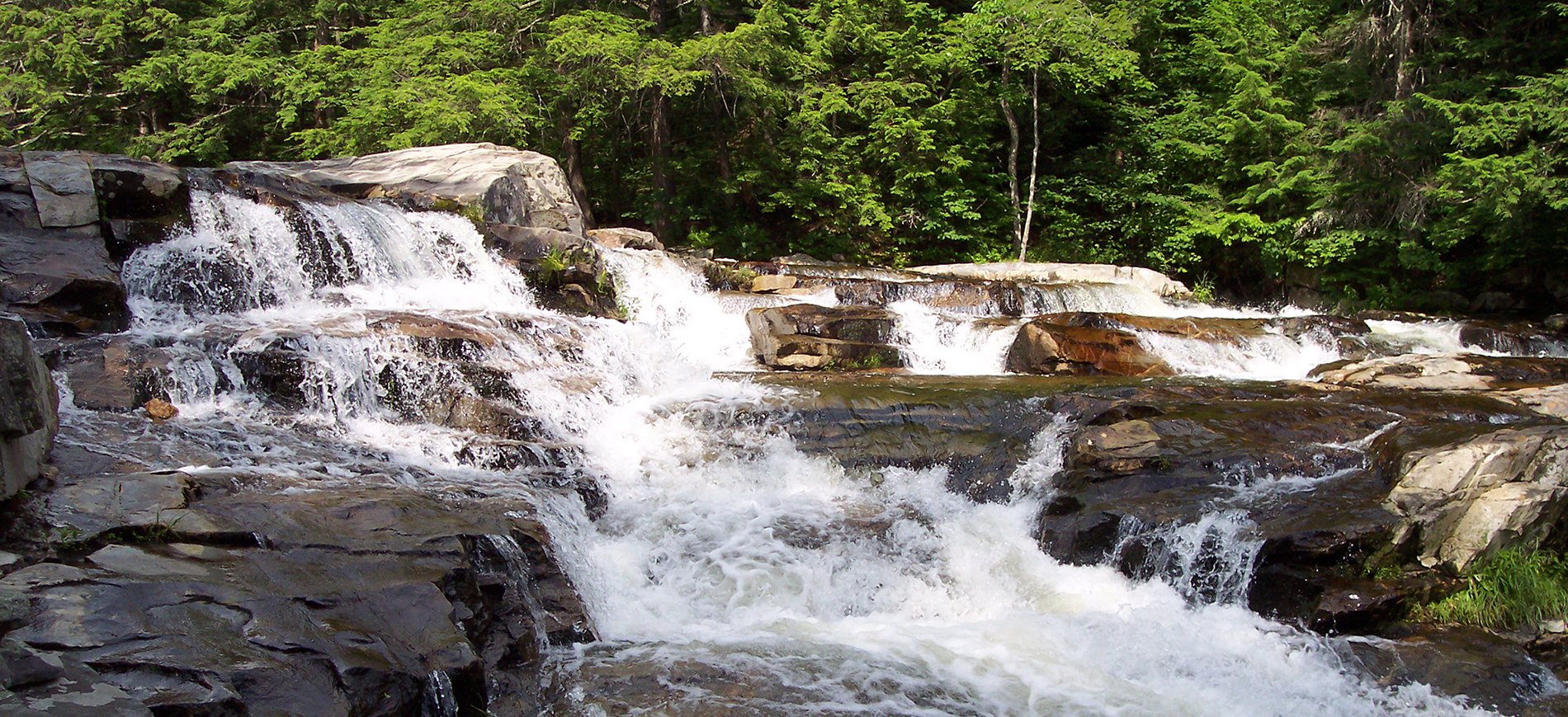 Picture of Jackson Falls.