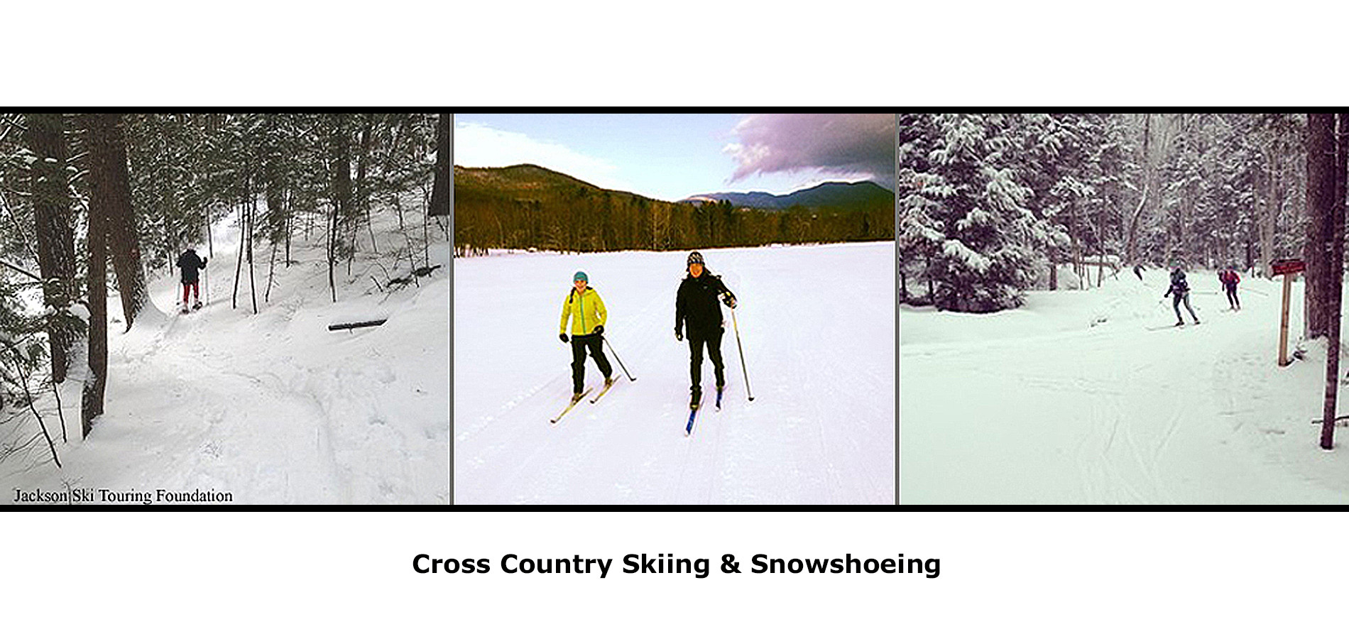 Collage of three images of cross country skiers in snow