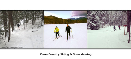 Collage of three images of cross country skiers in snow