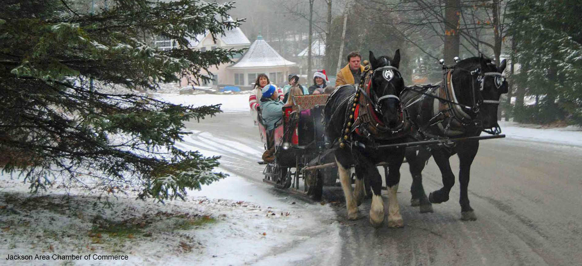 Evergreen and two horse sleigh