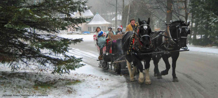 Evergreen and two horse sleigh