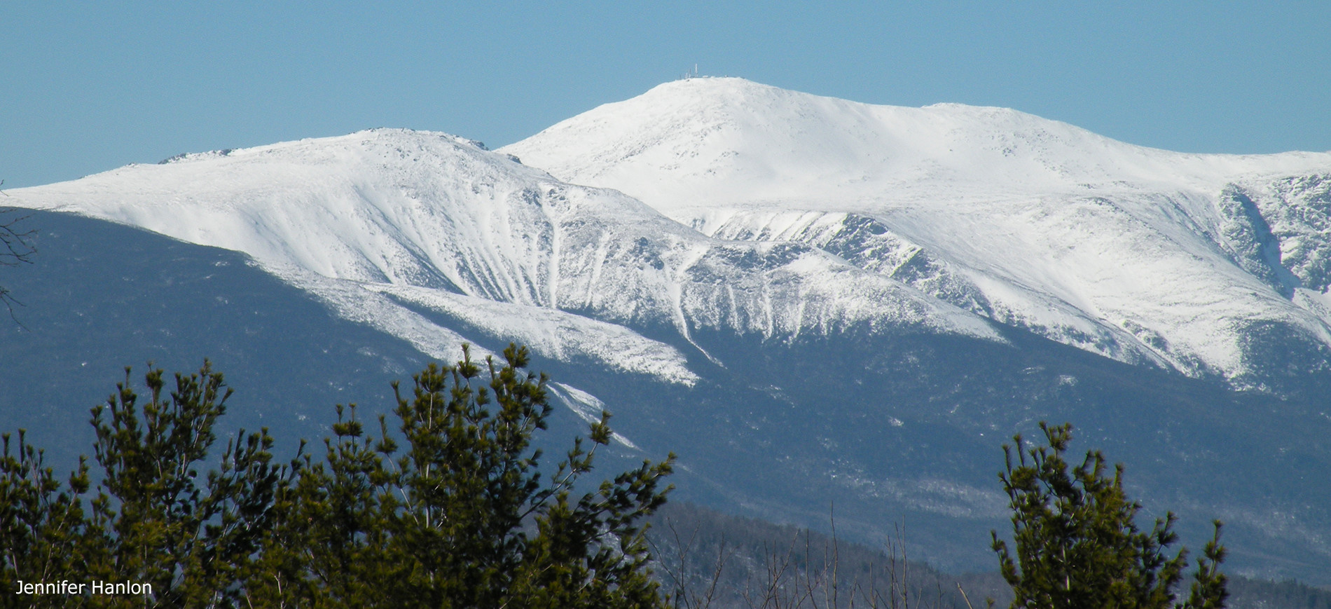 Mt Washington in Winter with evergreens in foreground