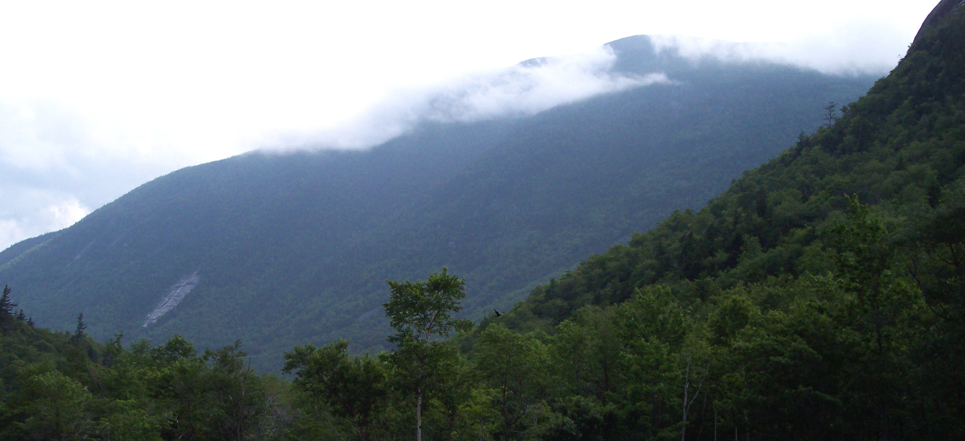 Crawford Notch view to east