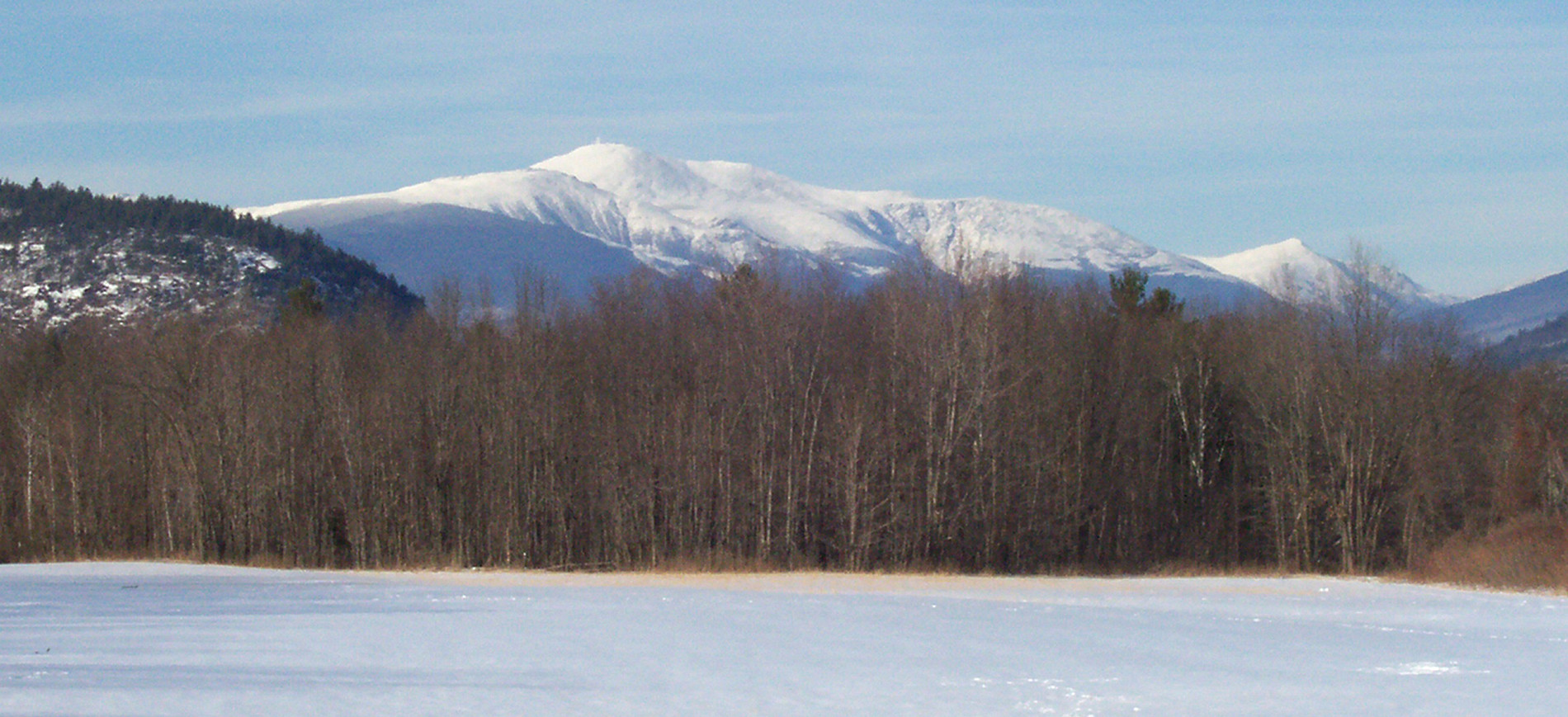 Snow covered Great Glen Trails with trees & Mt. Washington in background