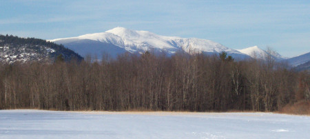 Snow covered Great Glen Trails with trees & Mt. Washington in background