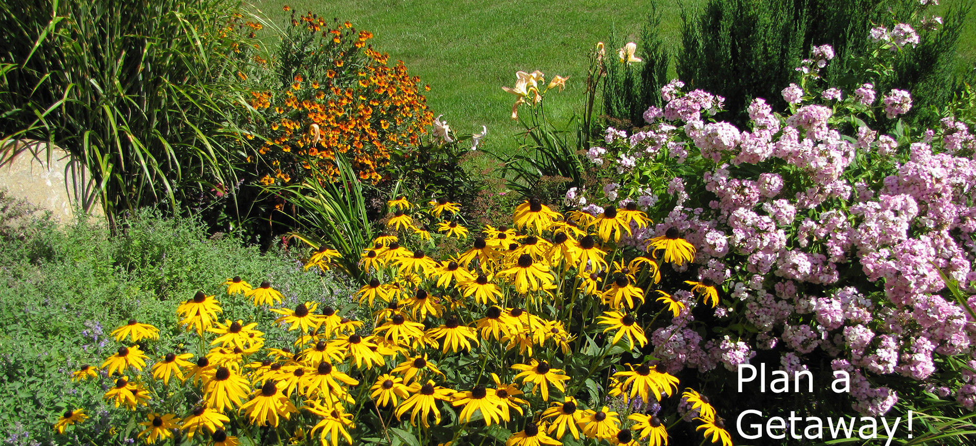 Perennial flower garden in bloom ~ Plan Your Getaway