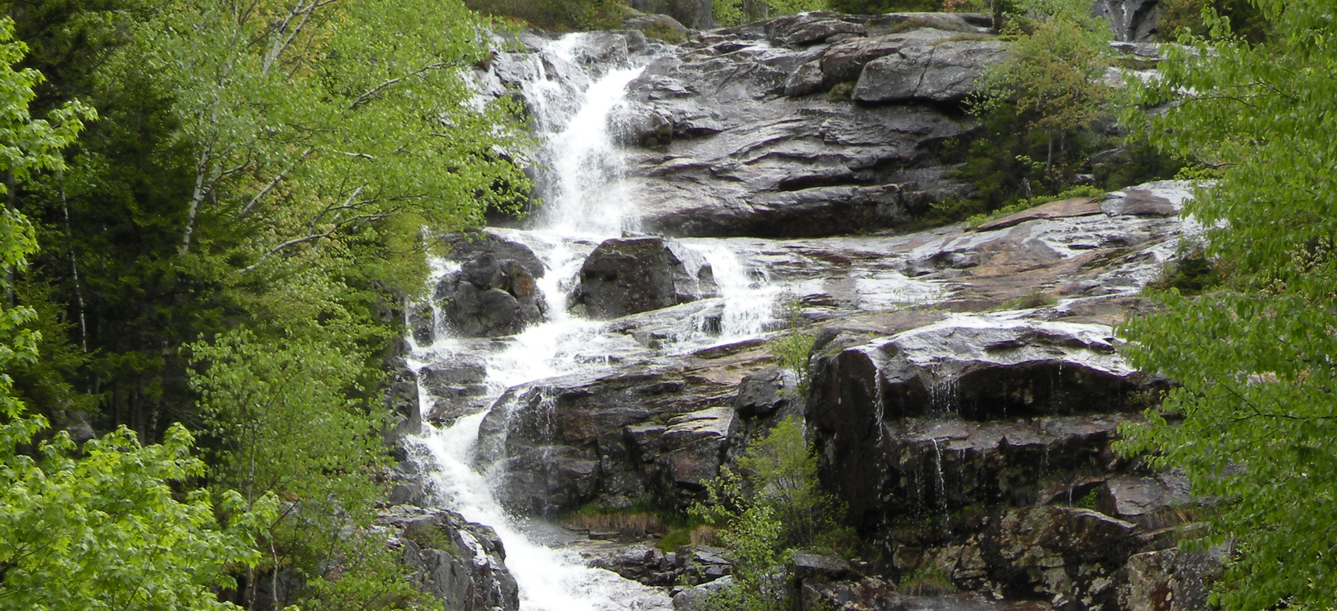 Silver Cascade