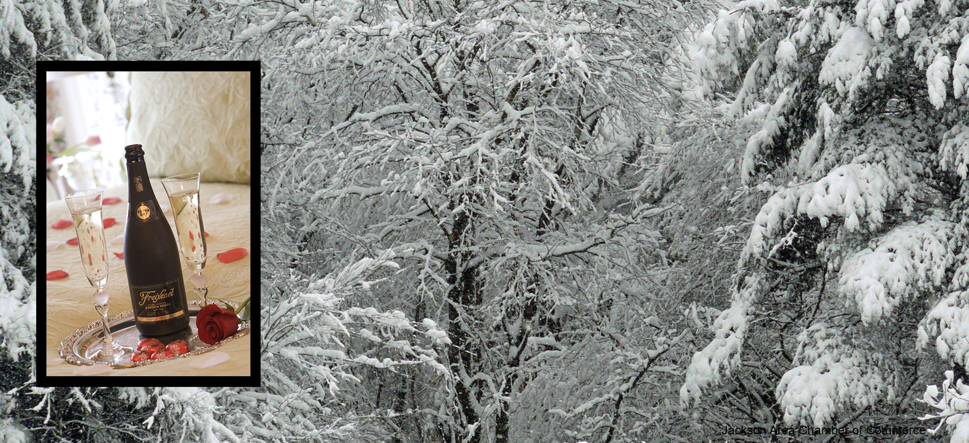 Champagne, rose on bed in front of snowy trees