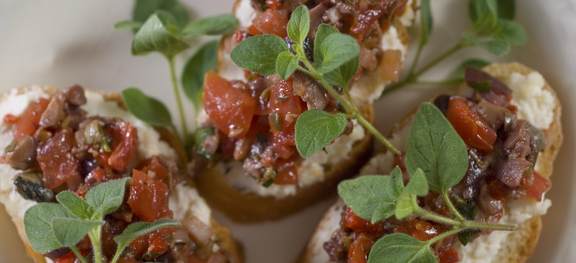 Three pieces of bruschetta topped with chopped tomato & oregano garnish