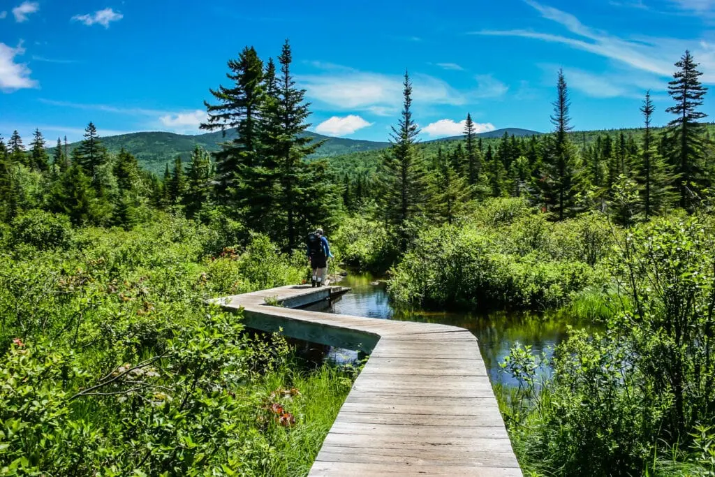21+ Incredible Things To Do in the White Mountains.