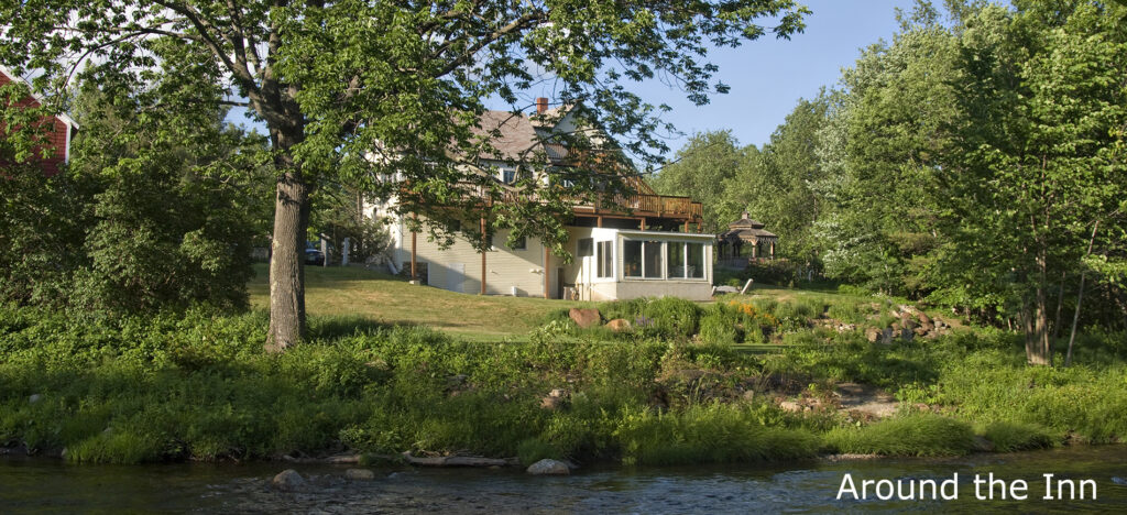 Charming riverside inn nestled in lush greenery. 