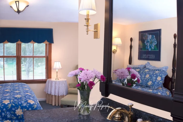 Champney Falls - View of bed and window from sink-mirror.