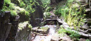 Flume Gorge.