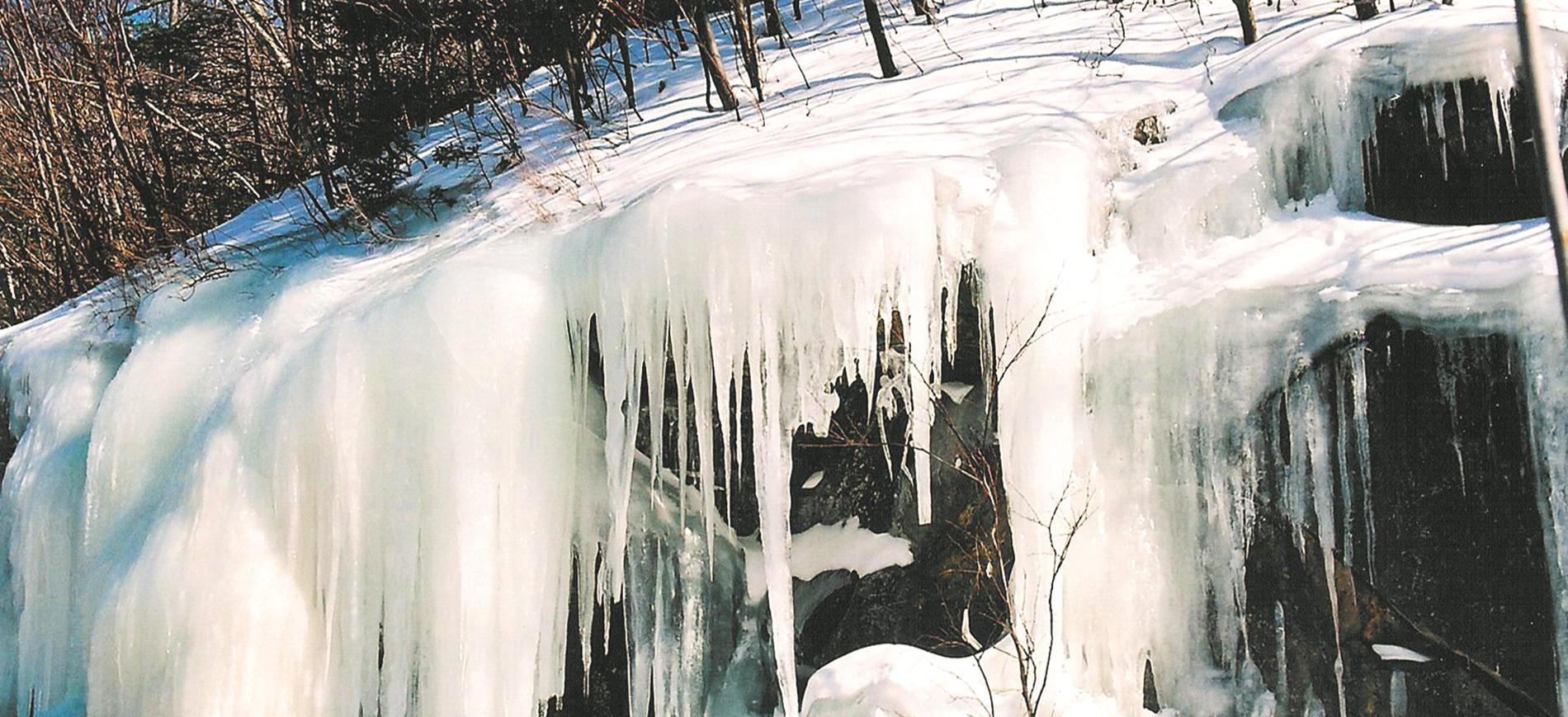 frozen waterfall with trees above.