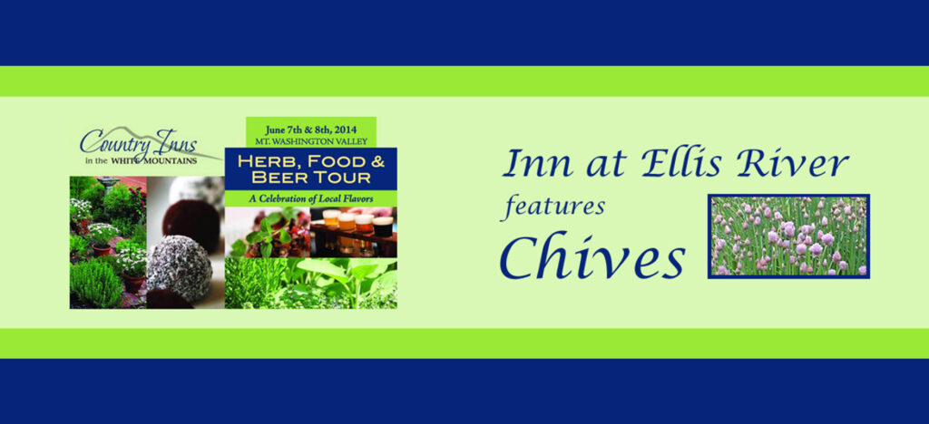 Cheddar chive bisuits on white plates, sun-dried tomato pesto and spread in bowls.