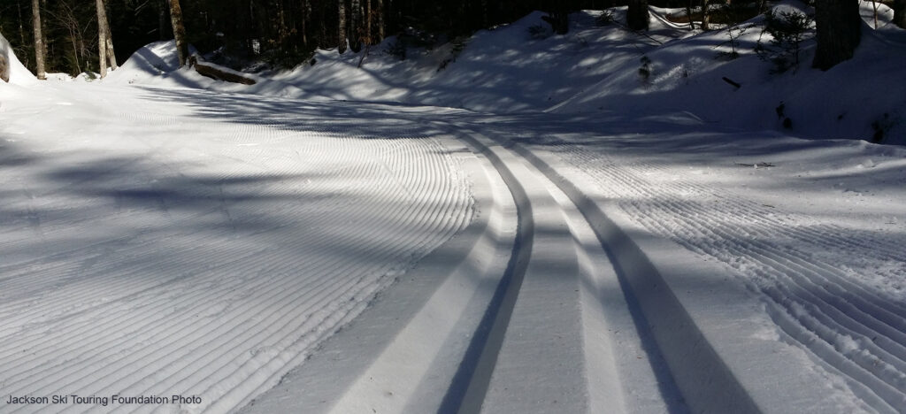Tree with sign along snowy XC trail