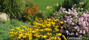 Women at farmers' market.