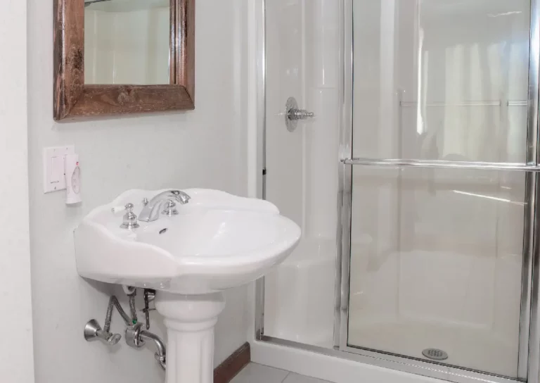 Bathroom sink and mirror.