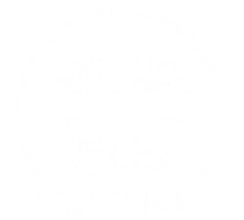 Tripadvisor Excellence Logo.
