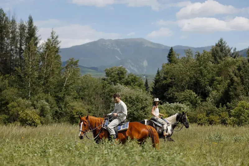 Franconia Notch Stables