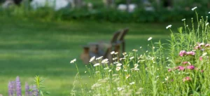 Honeymoon Package – Celebrate!.