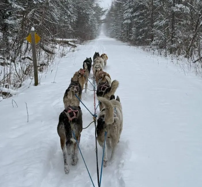 Muddy Paw Sled Dog Kennel