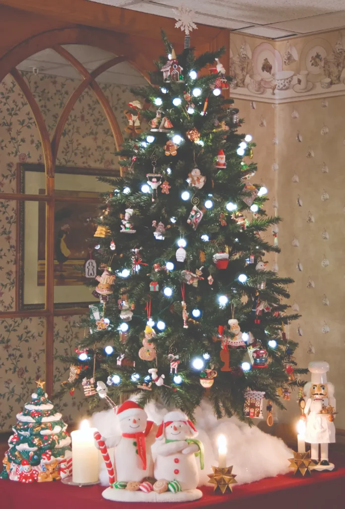 Annual Inn-to-Inn Cookie Tour.