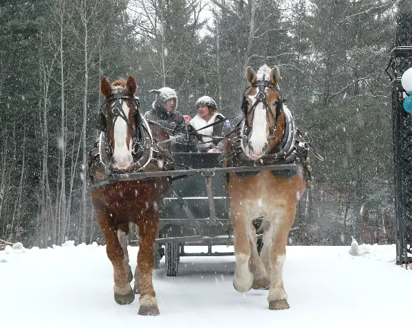 Jingle Bell Chocolate Tour