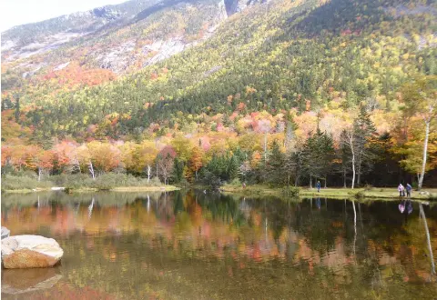Saco River & Wildcat River