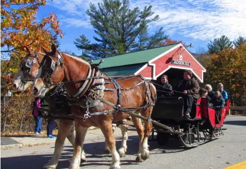 Nestlenook Farm Sleigh Rides