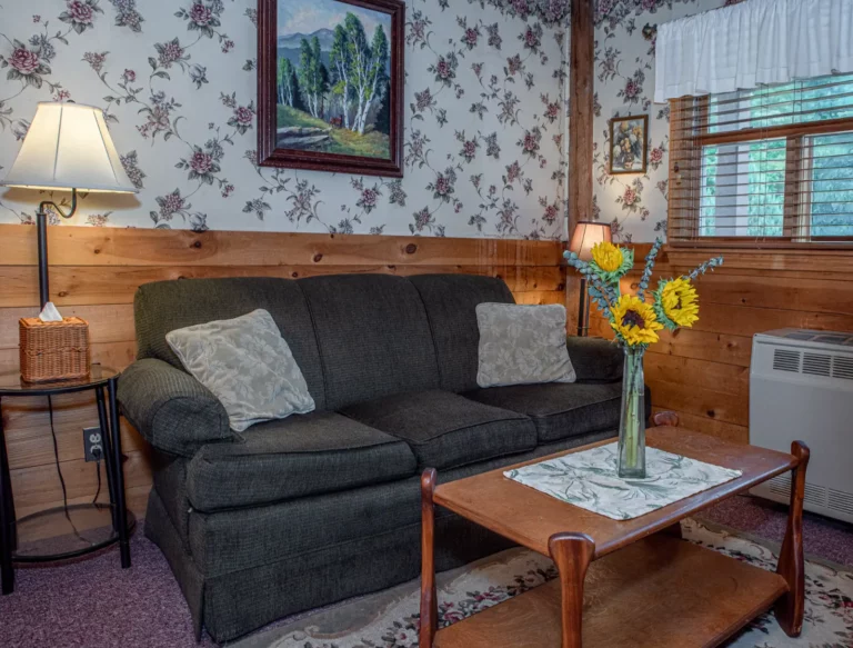 Ellis River Cottage - SItting Area