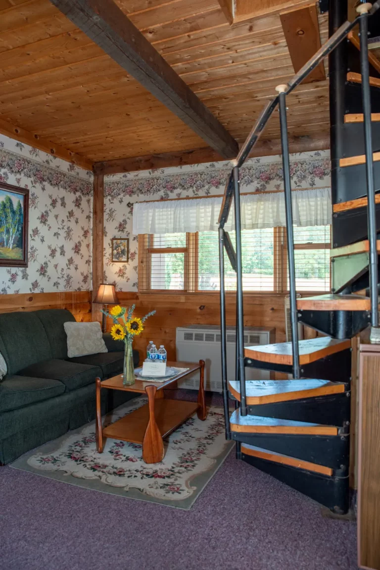Ellis River Cottage - Sitting area with view of spiral staircase
