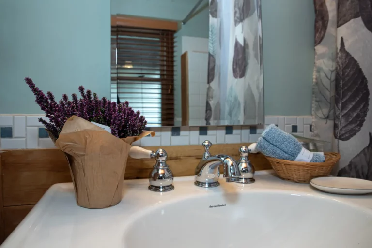 Ellis River Cottage - bathroom sink