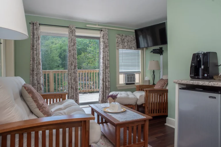 Zealand Falls-Sitting room